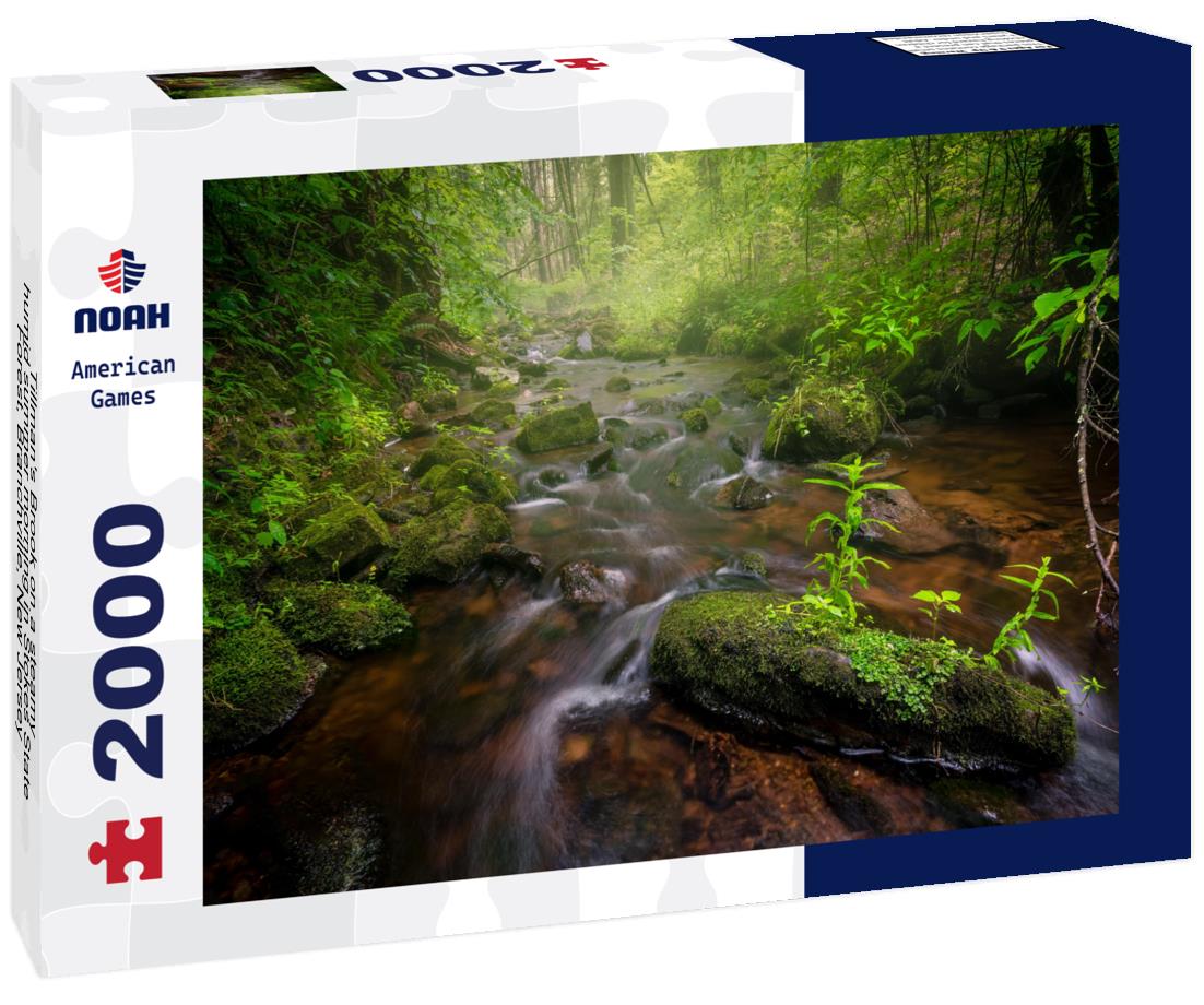 Noah Jigsaw Puzzle Tillman's Brook on a steamy, humid summer morning in Stokes State Forest, Branchville, New Jersey 2000 pieces