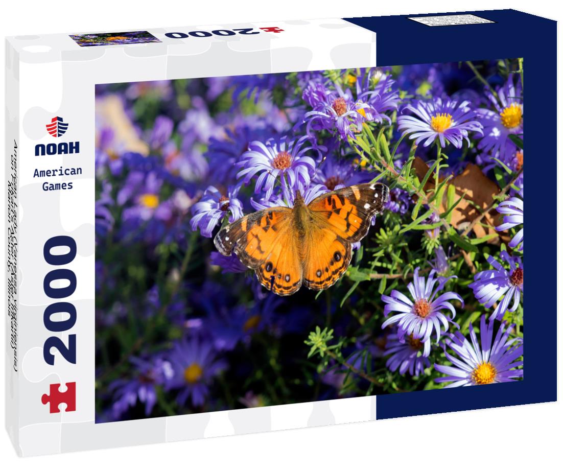 Noah Jigsaw Puzzle American Lady (Vanessa virginiensis) on Frikart's Aster (Aster frikartii) Marion County, Illinois 2000 pieces