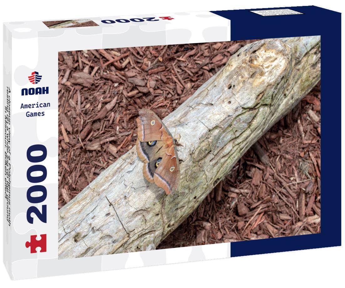 Noah Jigsaw Puzzle A closeup view of a Polphemus moth resting on a white log on the ground in Missouri. Bokeh effect 2000 pieces