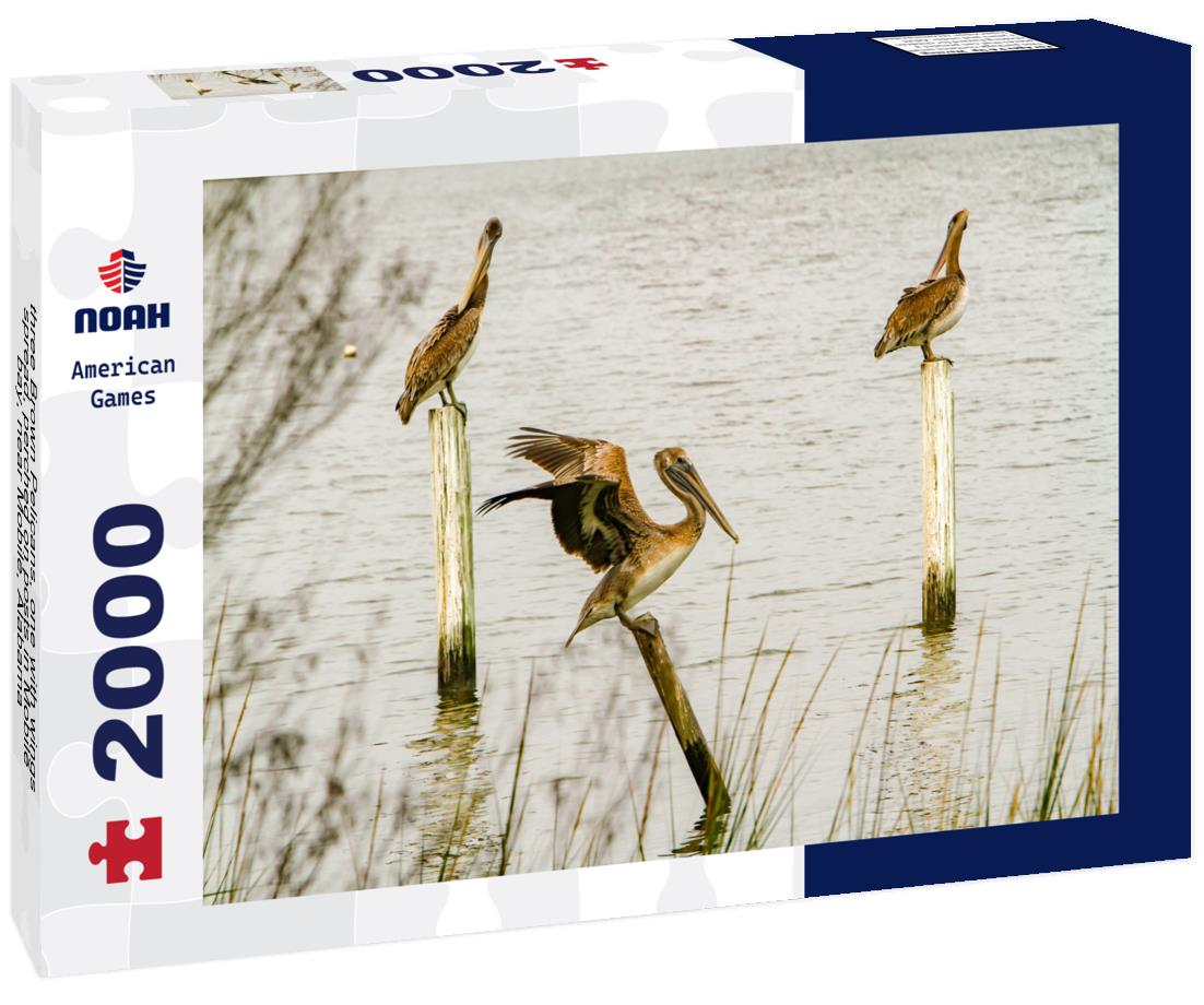 Noah Jigsaw Puzzle three Brown Pelicans, one with wings spread, perched on posts in Mobile bay, near Mobile, Alabama 2000 pieces