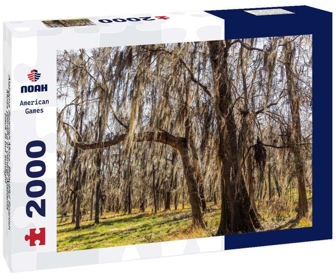 Noah Jigsaw Puzzle Alabama Spanish Moss: Beautiful Spanish Moss plentiful in central Alabama back lit but sunlight 2000 pieces