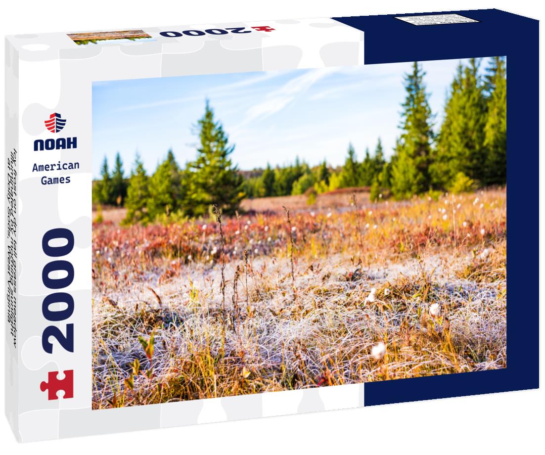 Noah Jigsaw Puzzle Icy frost on dry tall grass meadow illuminated by morning sunlight at Dolly Sods, West Virginia 2000 pieces