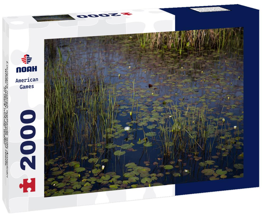 Noah Jigsaw Puzzle Louisiana marsh wetlands with American white waterlily, lily pads and reeds in dark moody water 2000 pieces