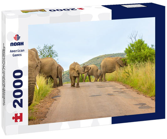 Noah Jigsaw Puzzle Elephants ( Loxodonta Africana) walking on the road at Pilanesberg National Park, South Africa 2000 pieces