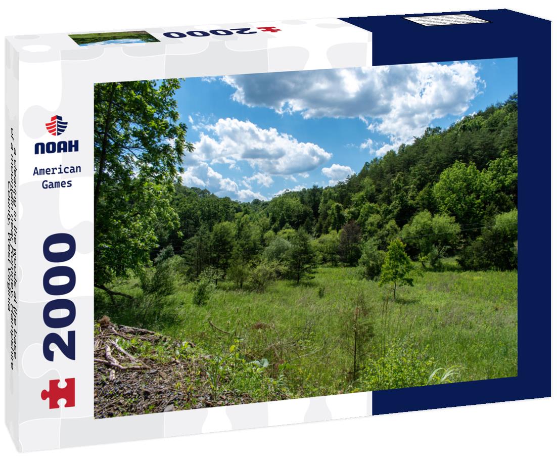 Noah Jigsaw Puzzle a clearing in the woods at the base of a mountain near Romney, Hampshire County, West Virginia 2000 pieces