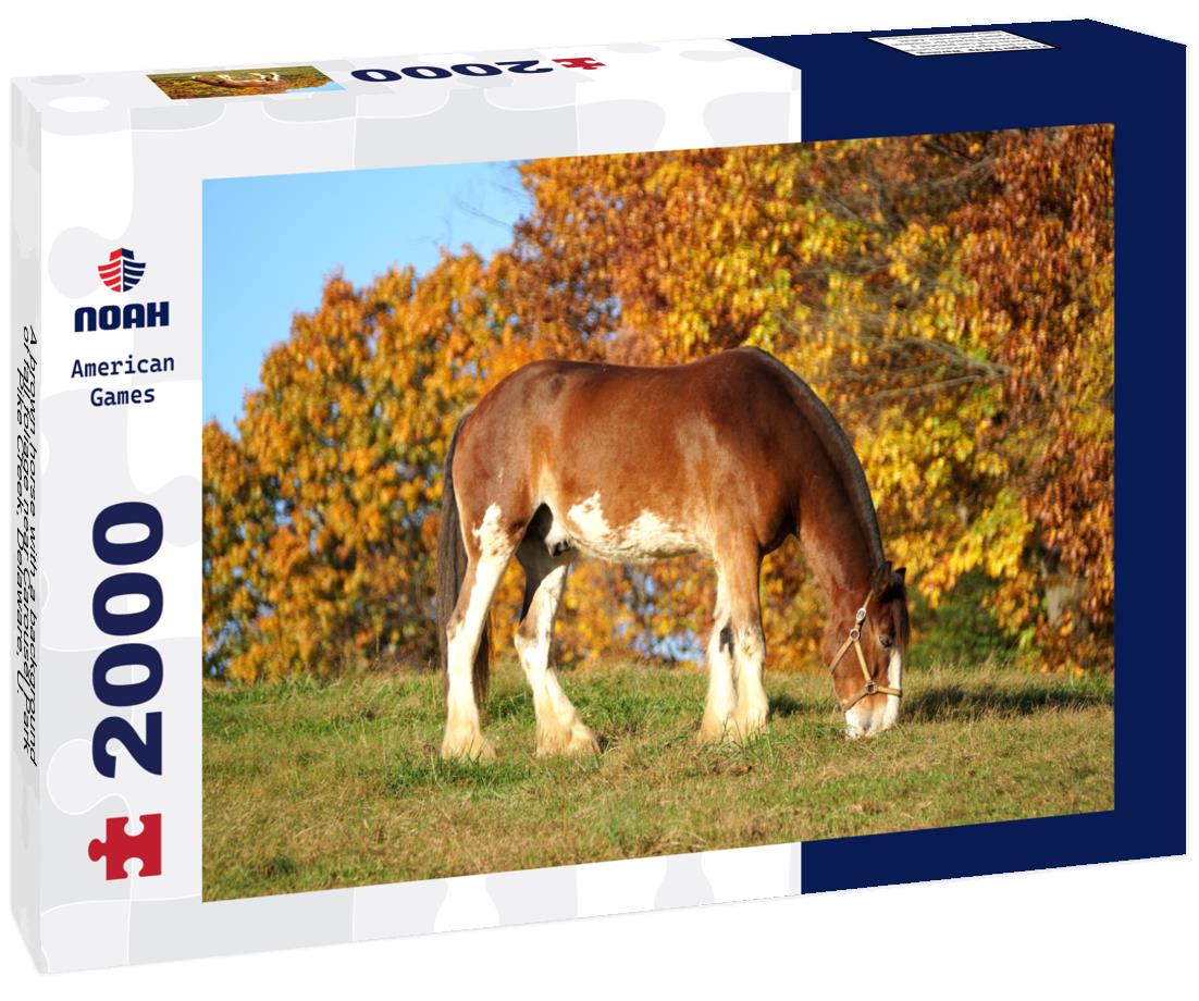 Noah Jigsaw Puzzle A brown horse with a background of fall foliage near Carousel Park, Pike Creek, Delaware, U.S 2000 pieces