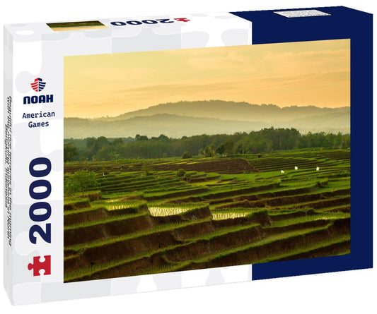 Noah Jigsaw Puzzle Beautiful rice terraces in the morning with the morning sunshine in North Bengkulu, Indonesia 2000 pieces