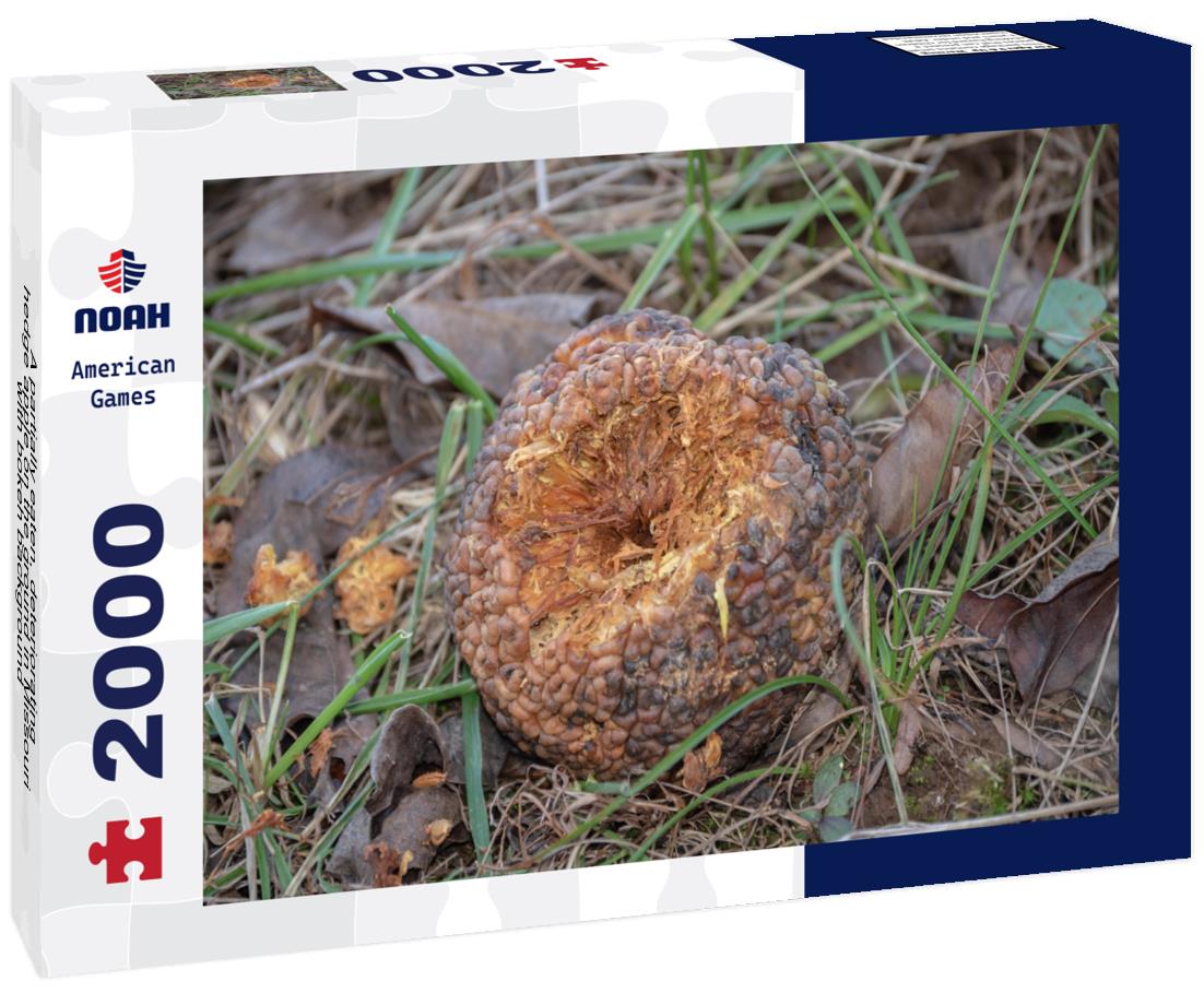 Noah Jigsaw Puzzle A partially eaten, deteriorating hedge apple on the ground in Missouri with bokeh background 2000 pieces