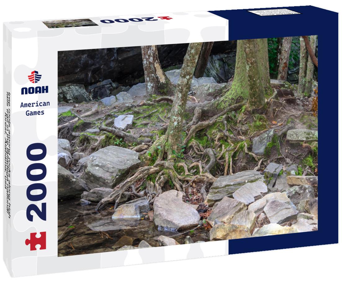 Noah Jigsaw Puzzle tree roots among rocks along high falls trail in the talladega national forest, Alabama, usa 2000 pieces