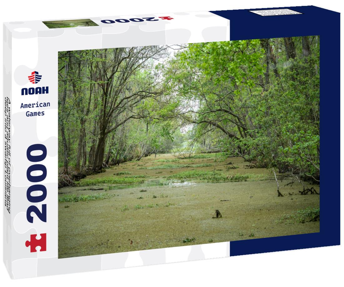Noah Jigsaw Puzzle A waterway full of overhanging tees and aquatic plant life lead deep into a swamp Louisiana 2000 pieces