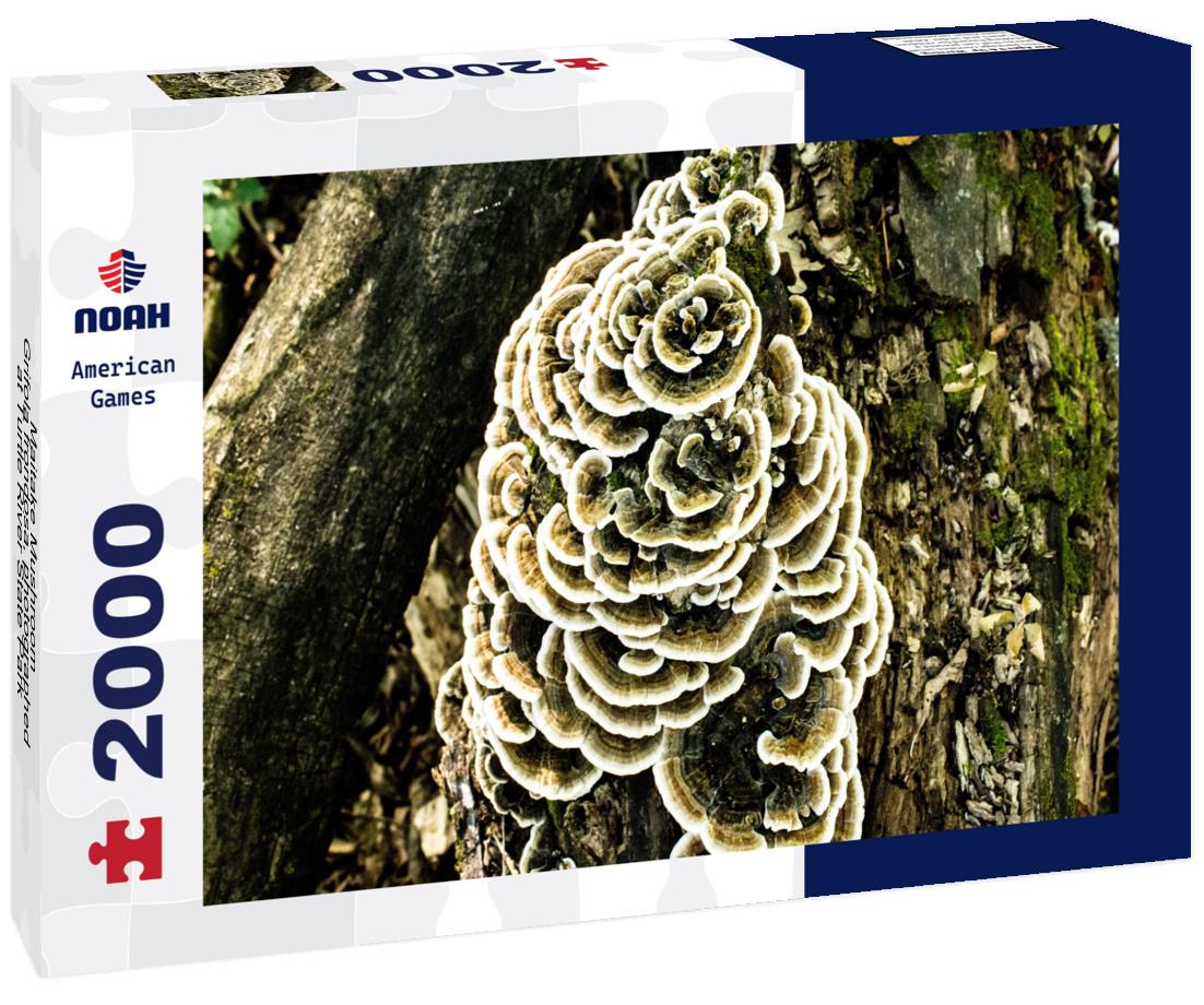 Noah Jigsaw Puzzle Maitake Mushroom - Grifola frondosa, photographed at Turtle River State Park, North Dakota 2000 pieces