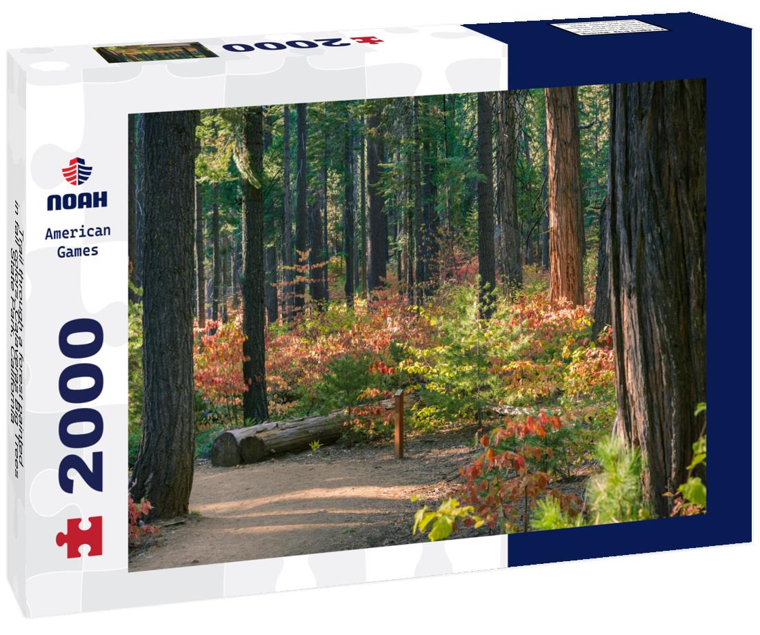 Noah Jigsaw Puzzle Trail through a forest painted in fall colors, Calaveras Big Trees State Park, California 2000 pieces