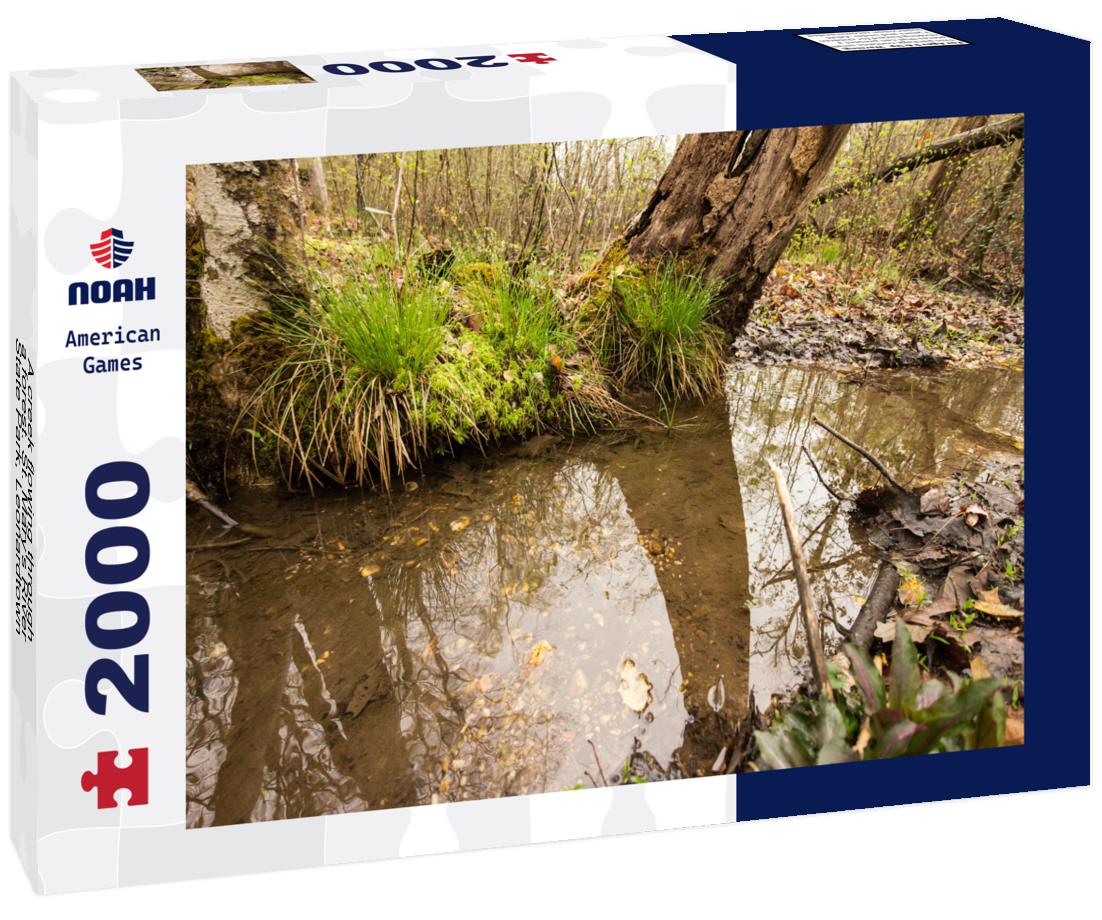 Noah Jigsaw Puzzle A creek flowing through a forest. St. Mary's River State Park, Leonardtown, Maryland, USA 2000 pieces