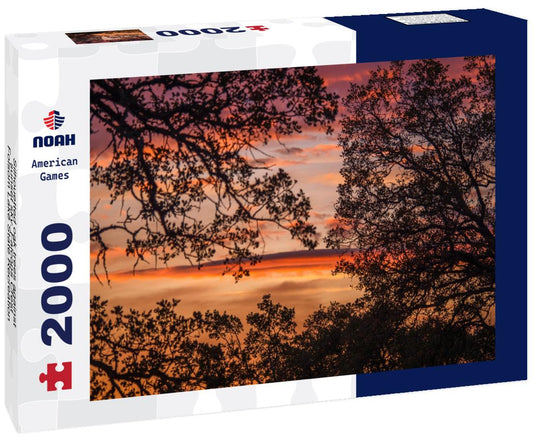 Noah Jigsaw Puzzle Silhouetted oak trees against sunset sky. Falcons Crest Folsom Lake State Recreation Area 2000 pieces