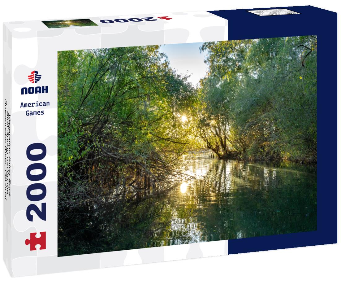 Noah Jigsaw Puzzle Vegetation lining Rock Bluff Spring run on the Suwanneee River, Gilchrist County, Florida 2000 pieces