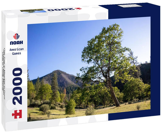 Noah Jigsaw Puzzle Oak Tree in Meadow in Front of Hayfork Bally Mountain Peak in Trinity County, California 2000 pieces