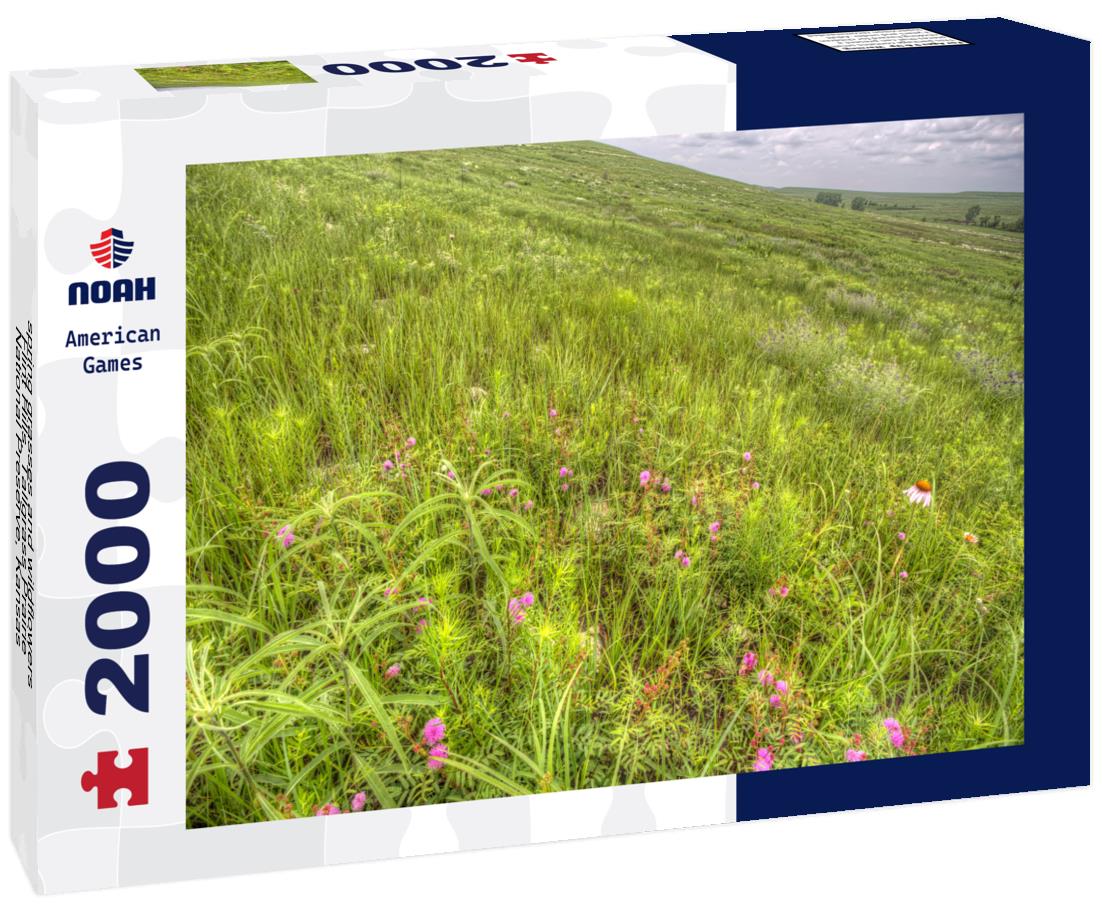 Noah Jigsaw Puzzle spring grasses and wildflowers, Flint Hills, Tallgrass Prairie National Preserve, Kansas 2000 pieces