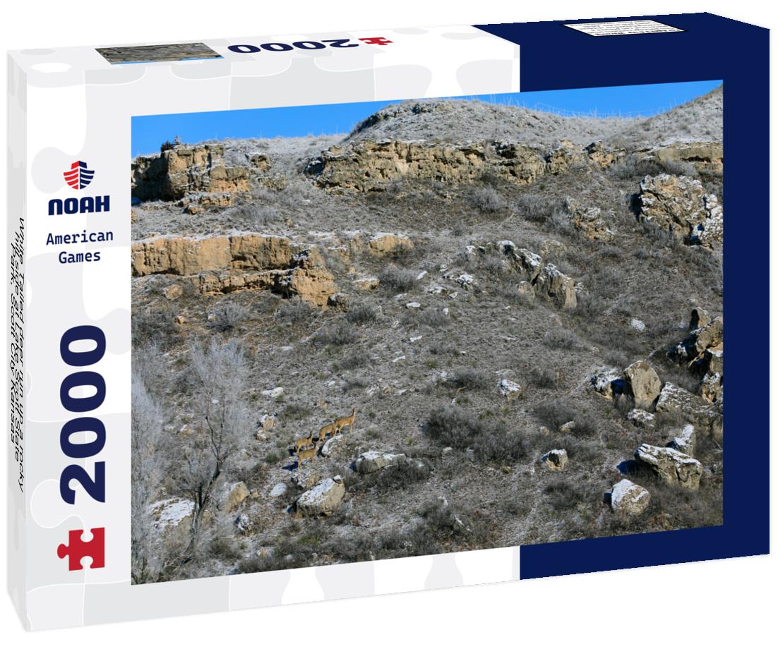 Noah Jigsaw Puzzle White Tailed deer run up a rocky hill side at Lake Scott State Park, Scott City Kansas 2000 pieces
