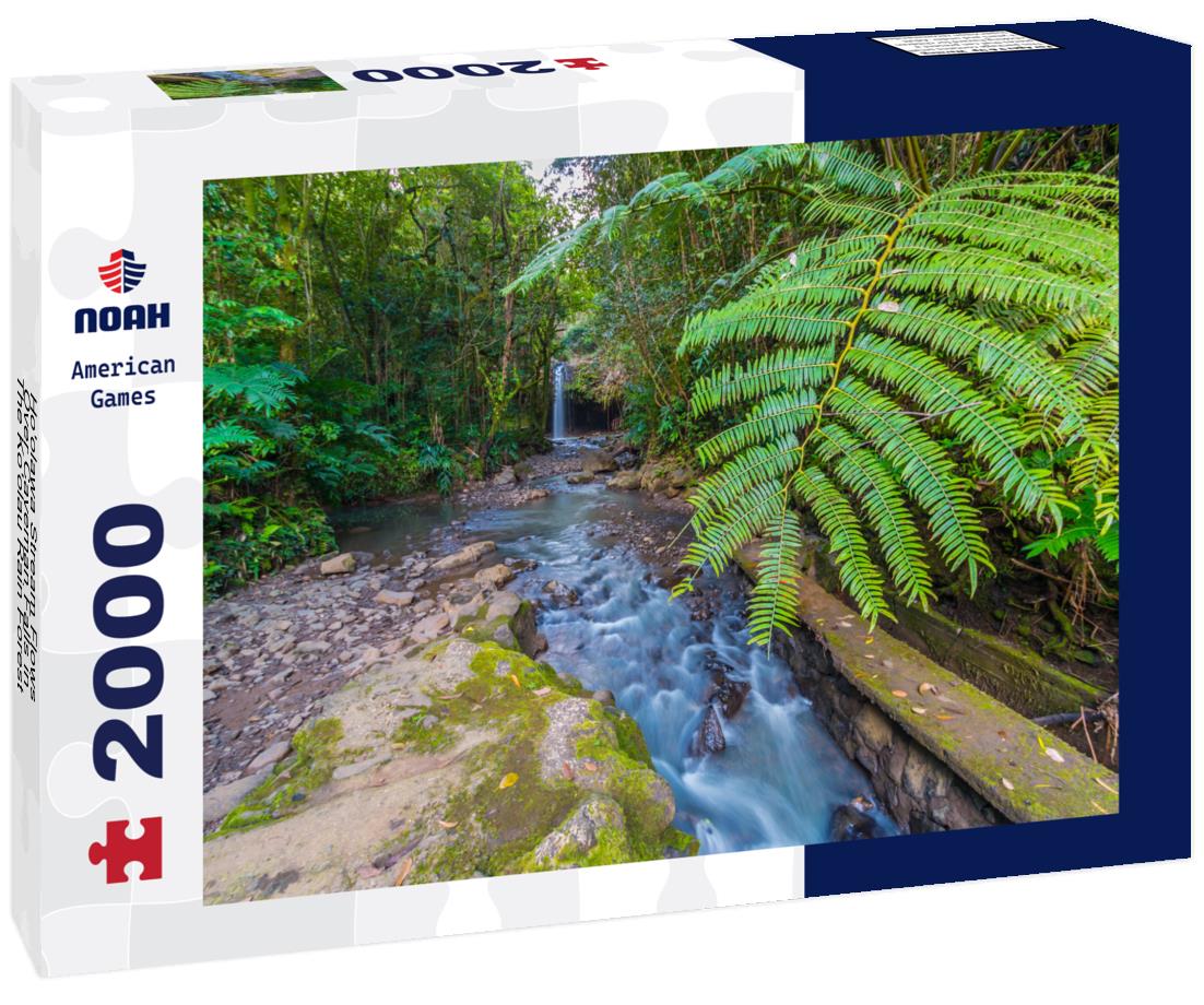 Noah Jigsaw Puzzle Ho'olawa Stream Flows Over Caveman Falls in The Ko'olau Rain Forest, Maui, Hawaii, USA 2000 pieces