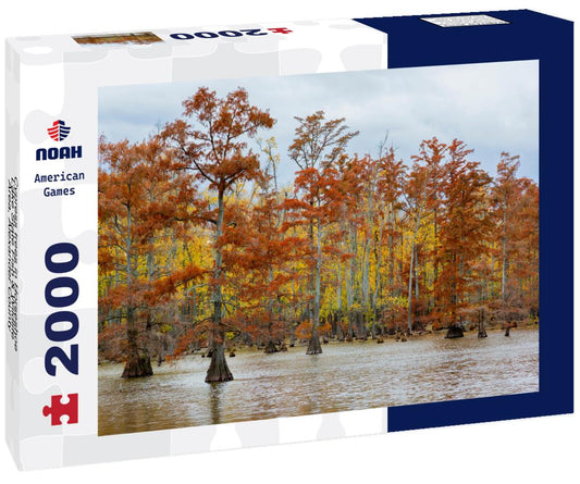 Noah Jigsaw Puzzle Cypress trees in Horseshoe Lake State Fish & Wildlife Area, Alexander County, Illinois 2000 pieces