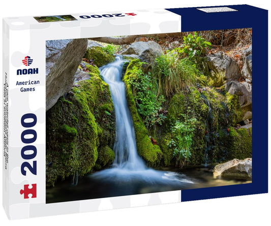 Noah Jigsaw Puzzle A rare waterfall oasis in the Huachuca mountains near Sierra Vista in southern Arizona 2000 pieces