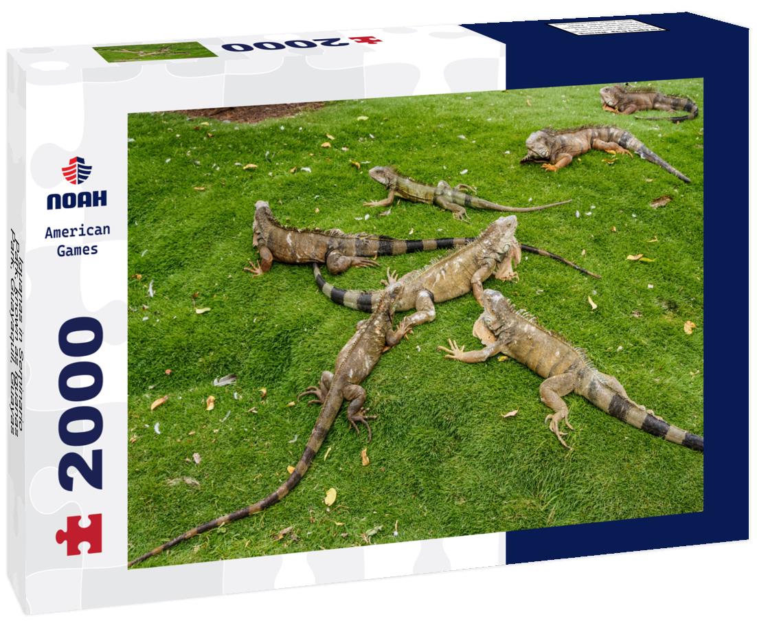 Noah Jigsaw Puzzle Iguanas in Seminario Park, known as Iguanas Park, Guayaquil, Guayas Province, Ecuador 2000 pieces