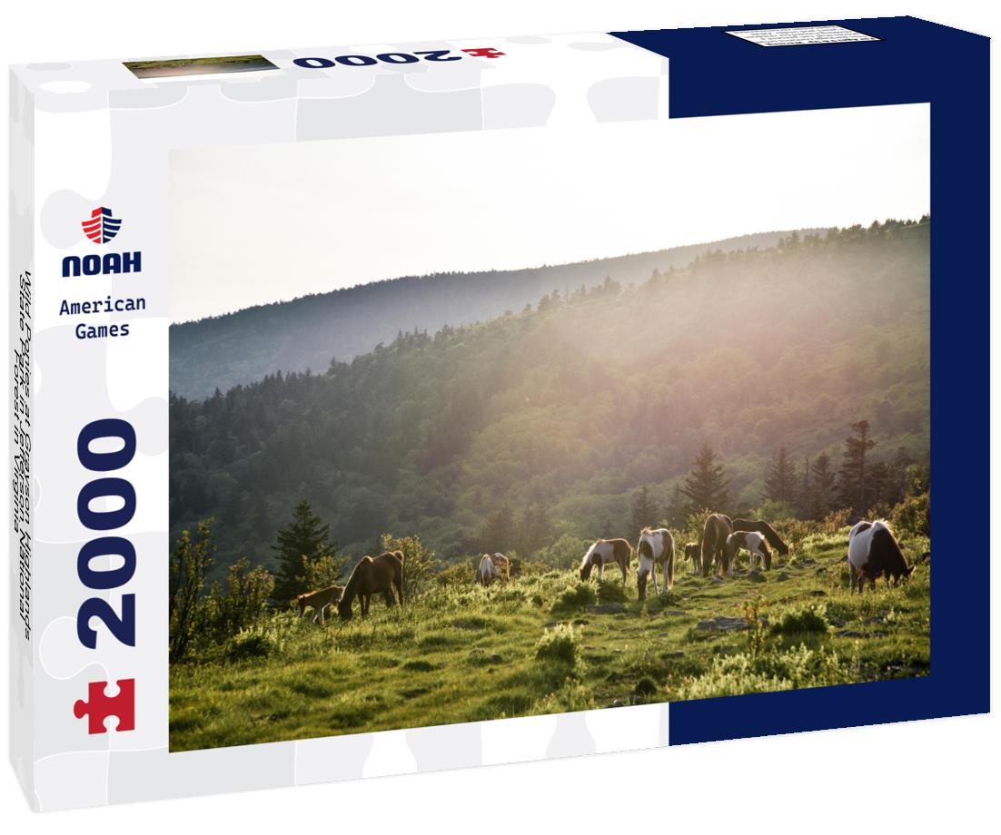 Noah Jigsaw Puzzle Wild Ponies at Grayson Highlands State Park in Jefferson National Forest in Virginia 2000 pieces