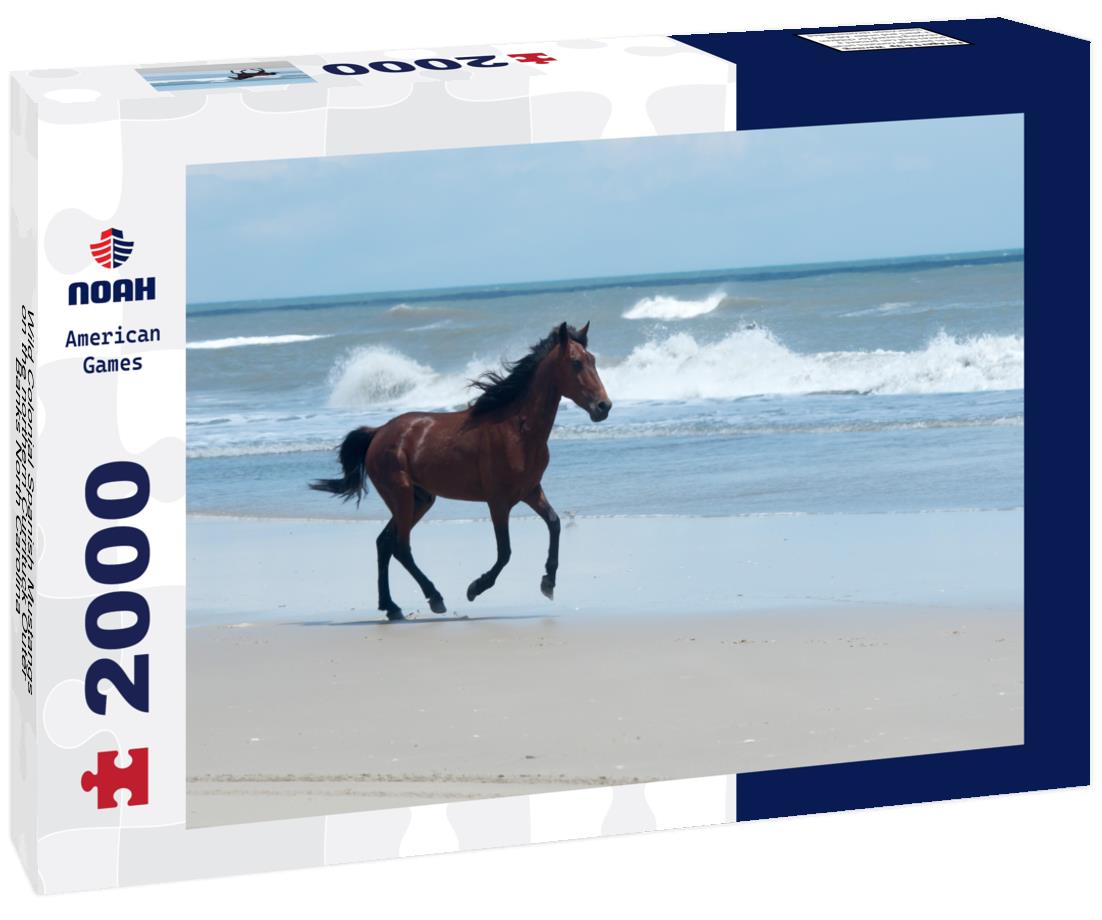 Noah Jigsaw Puzzle Wild Colonial Spanish Mustangs on the northern Currituck Outer Banks North Carolina 2000 pieces