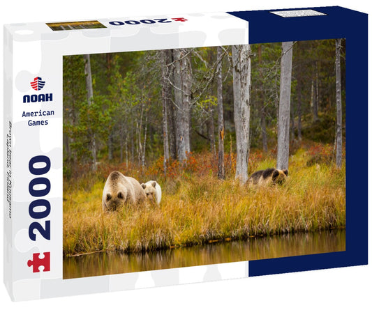 Noah Jigsaw Puzzle Brown bear in Kuusamo, Lapland, Finland 2000 Pieces