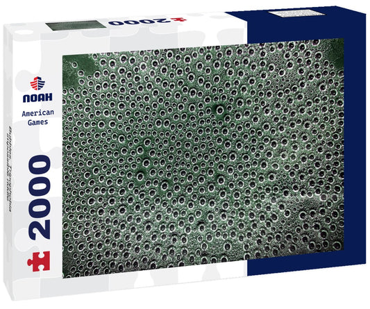Noah Jigsaw Puzzle Bubbles. Tripophobia - impossible riddle 2000 Pieces