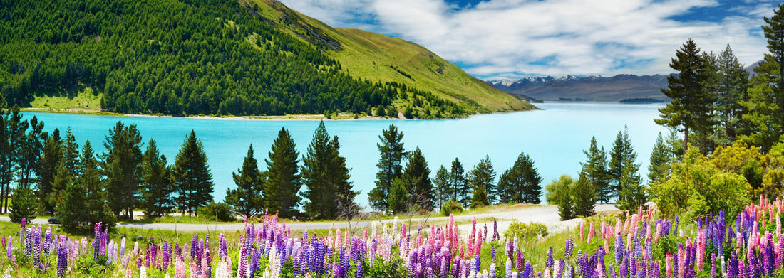 Noah Jigsaw Puzzle Lake Tekapo, New Zealand Panorama 1000 Pieces