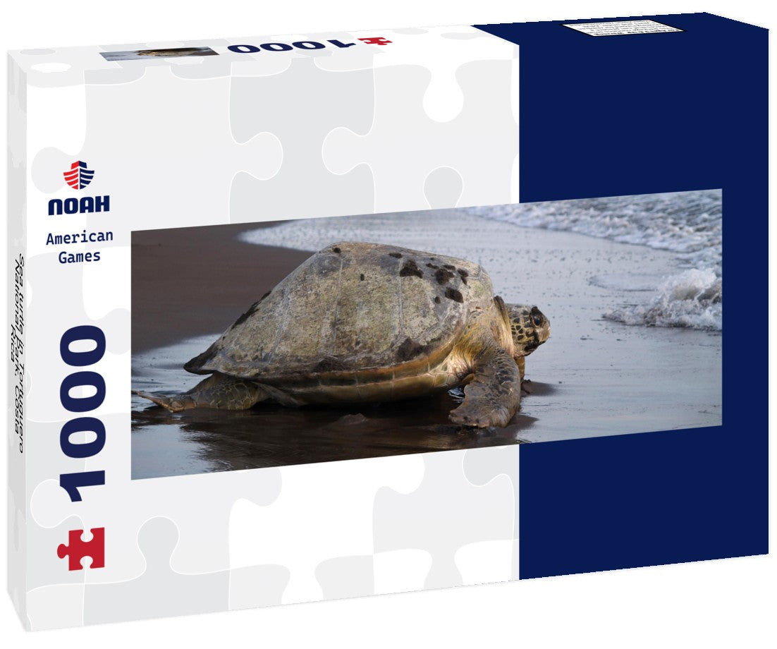 Noah Jigsaw Puzzle Sea turtle in Tortuguero National Park, Costa Rica Panorama 1000 Pieces