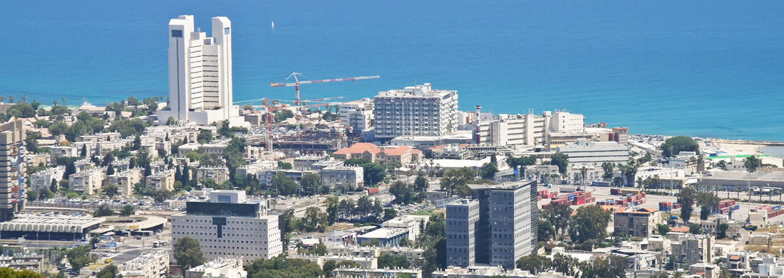 Noah Jigsaw Puzzle Haifa, Israel Panorama 1000 Pieces