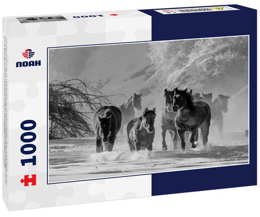 Horse running in the snow on a cold winter day with hoar frost on trees on ranch in wyoming in the american west majority of herd being quarter horses some mustangs in black white