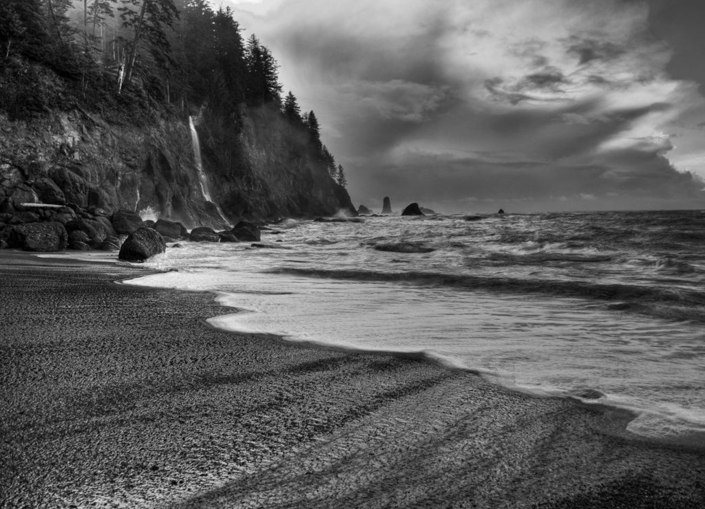 La Push Beach, Washington in black white