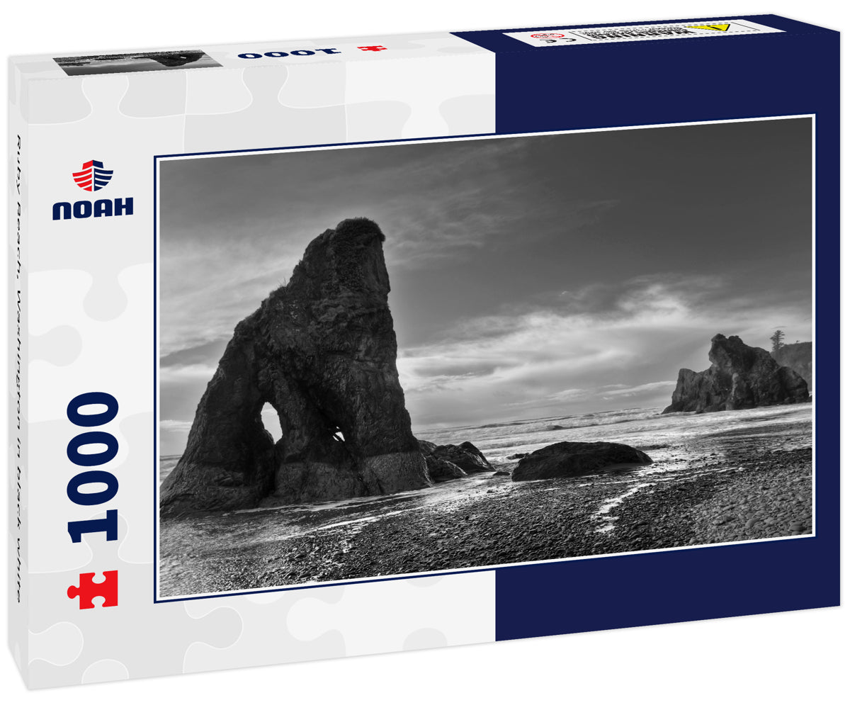 Ruby Beach, Washington in black white