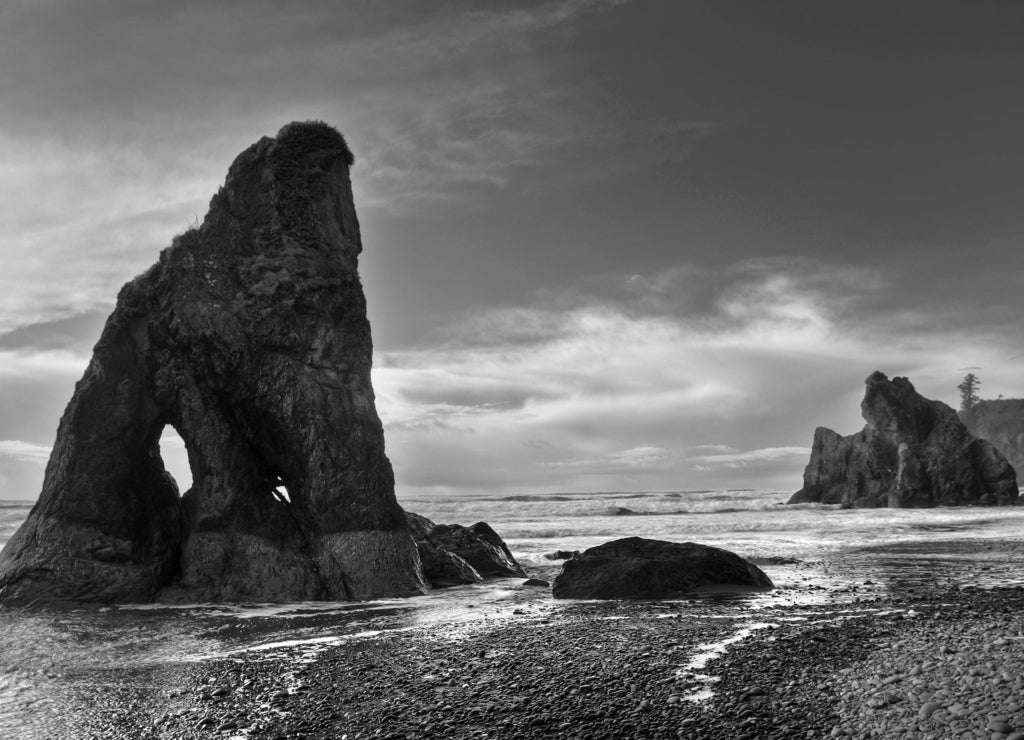 Ruby Beach, Washington in black white