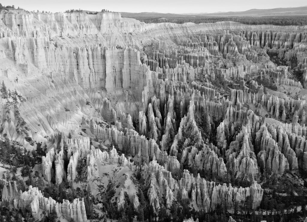 Bryce amphitheater at sunrise point, Bryce Canyon NP, Utah, USA in black white