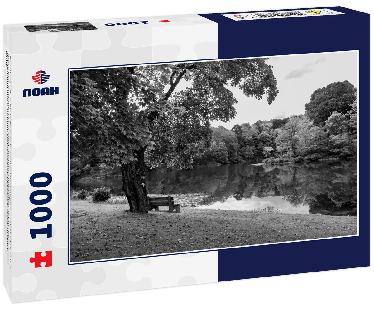 Tomlinson Run State Park in the fall in West Virginia with the fall colors and trees reflecting in the lake, the blue cloud filled sky in the background and a tranquil serene nature landscape scene in black white