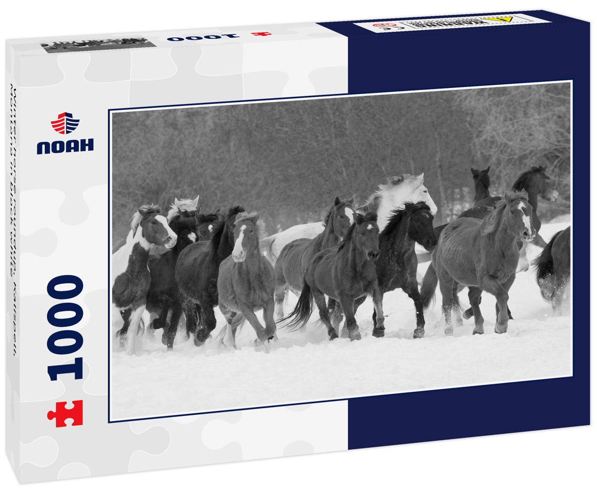 Winter horse roundup, Kalispell, Montana in black white