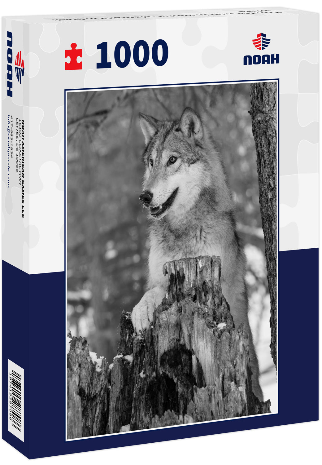 Tundra wolf in winter, Montana in black white