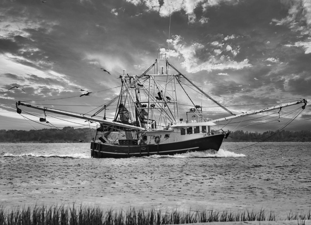 A shrimp boat entering Charleston, South Carolina harbor in the evening in black white