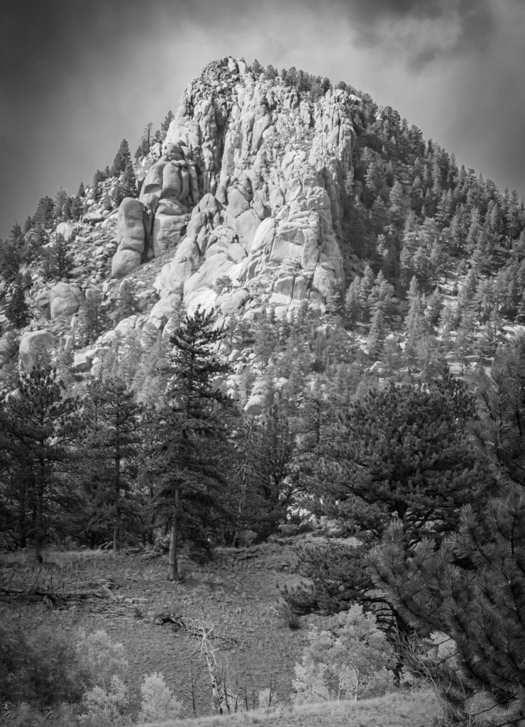 Autumn color in the mountains near Lake George, Colorado, USA in black white