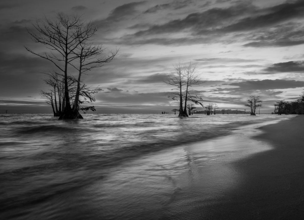 Sunrise at Lake Moultrie, South Carolina in black white