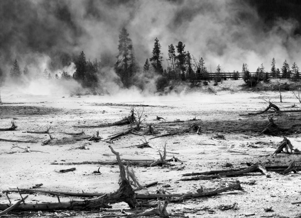 Yellowstone National Park, Wyoming, United States in black white
