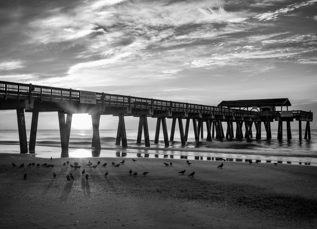 Tybee Island Pier, Georgia USA in black white