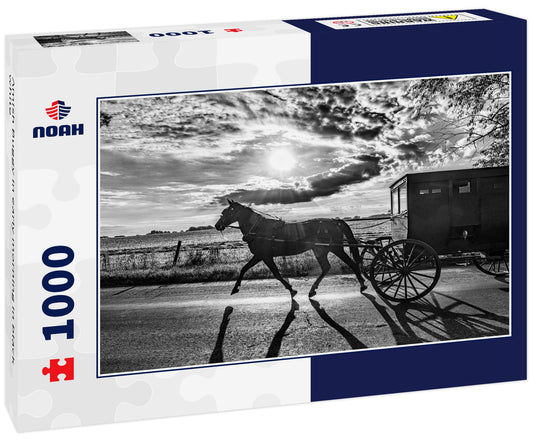 Amish Buggy in early morning in black white