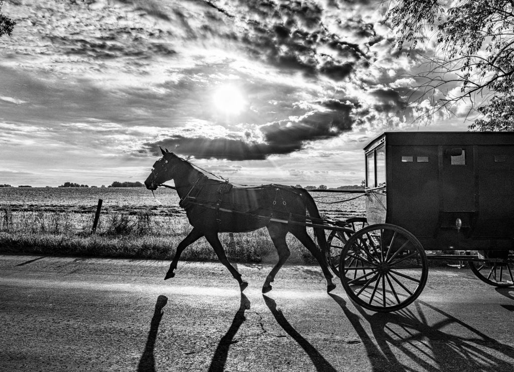 Amish Buggy in early morning in black white