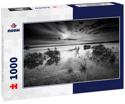 Texas Lake Sunrise in black white