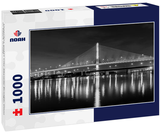 Veterans Glass City Skyway Bridge, Ohio in black white